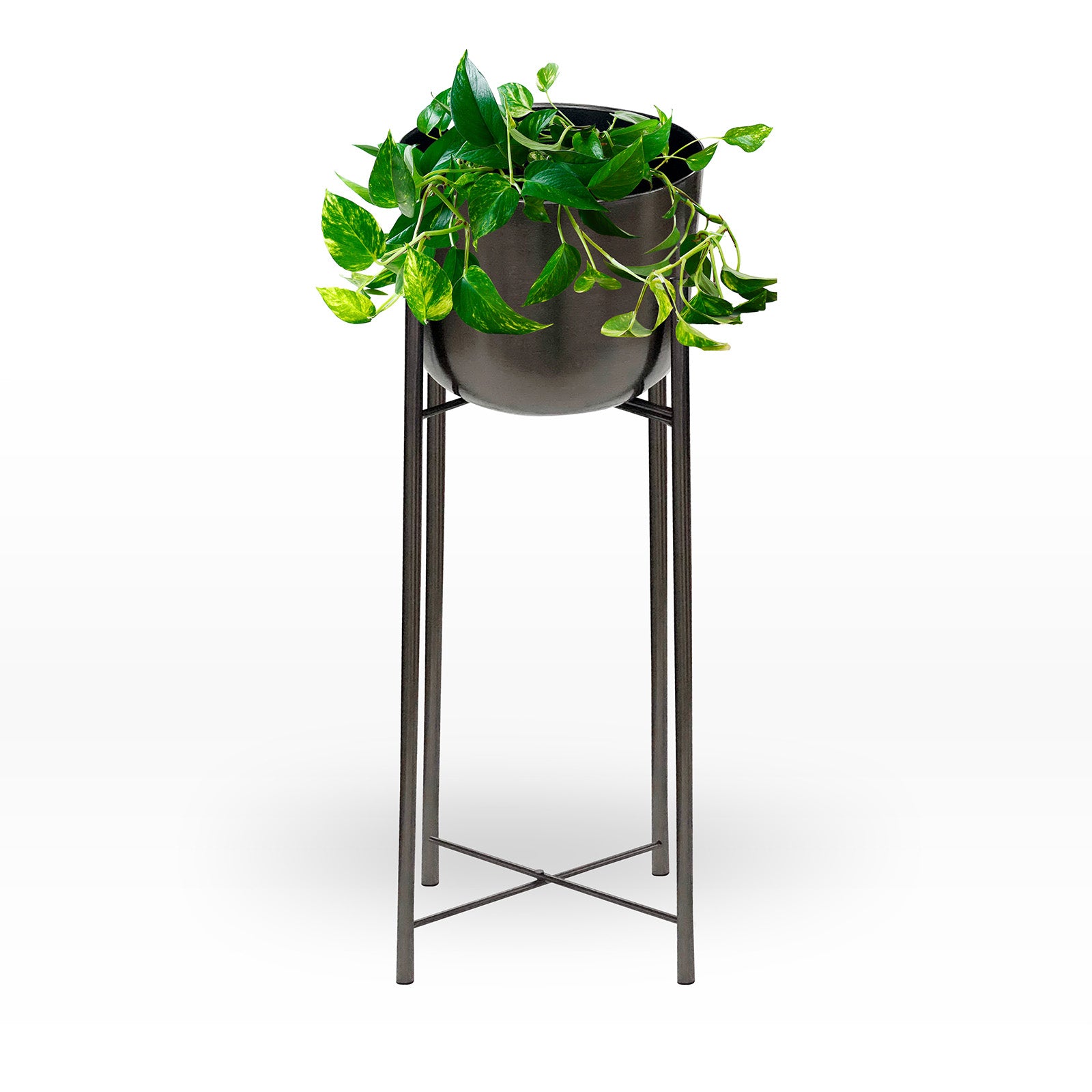 Maceta Ceiba Grande1