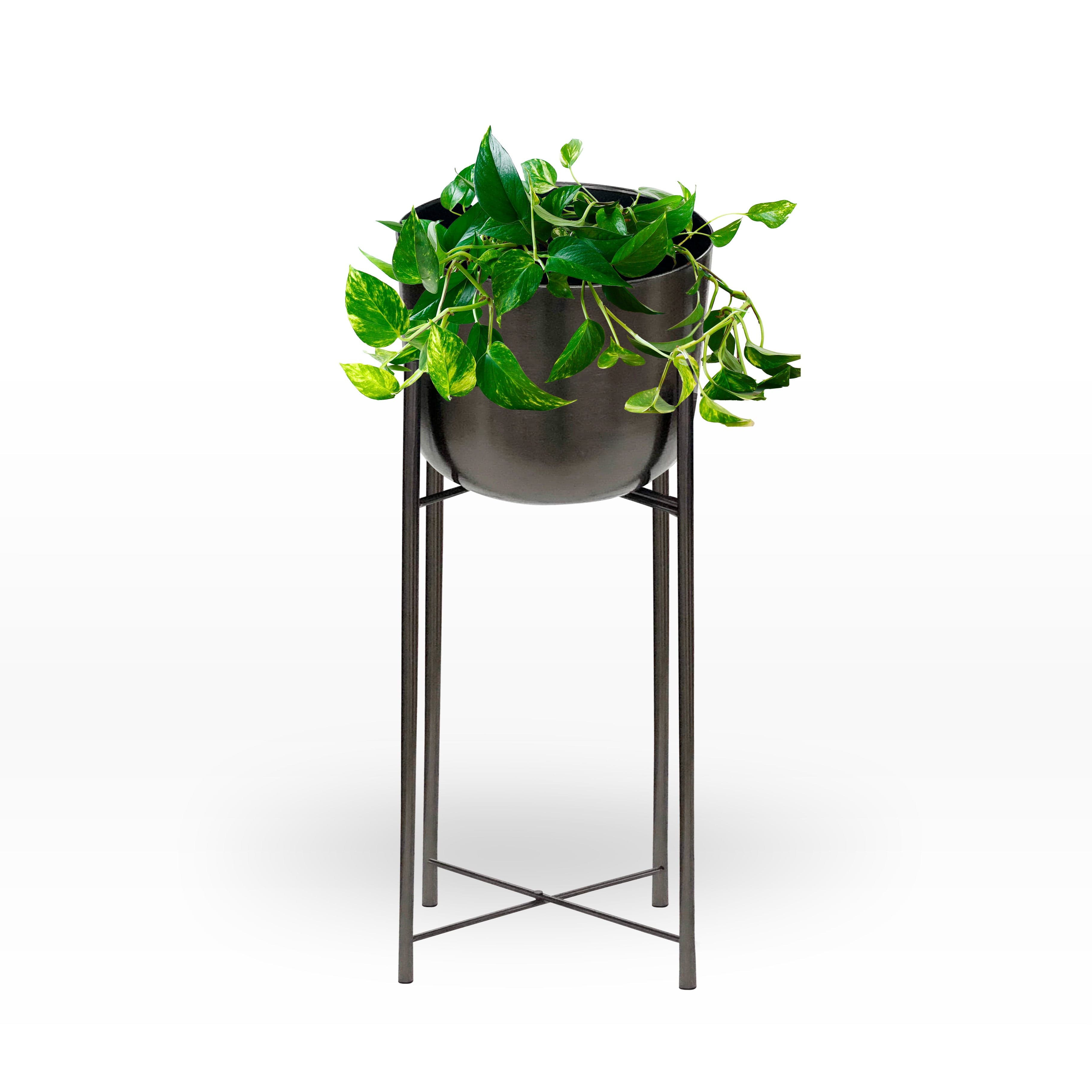 Maceta Ceiba Mediana1