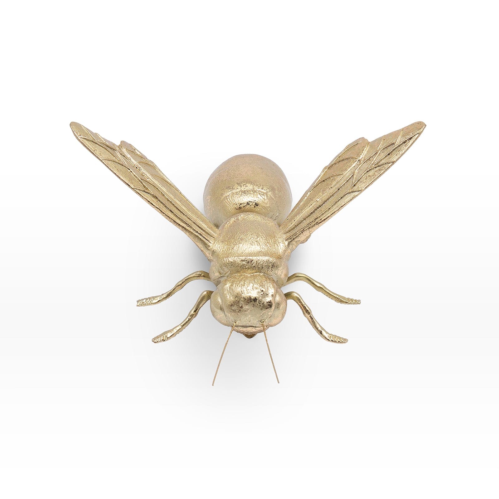Avispa Dorada