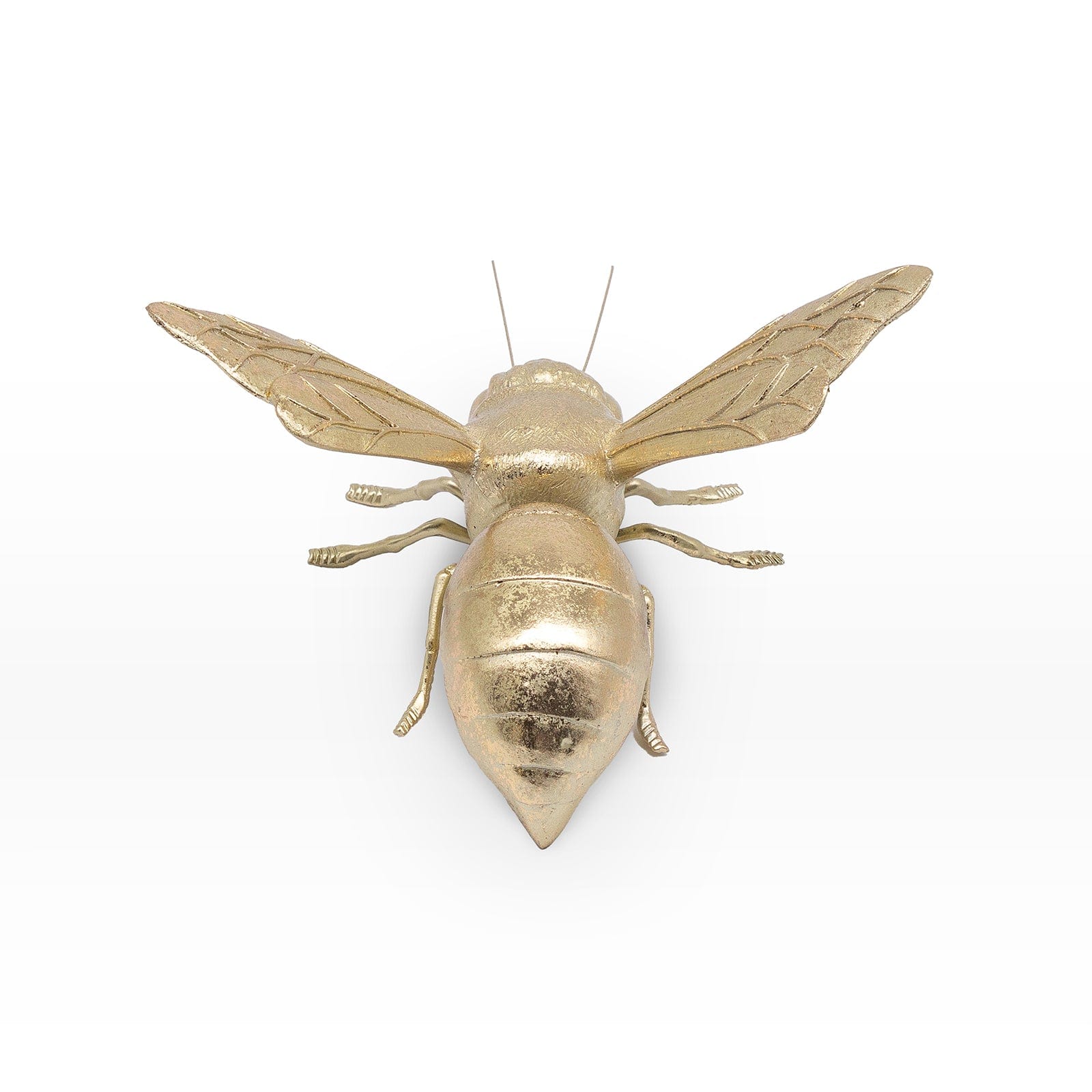 Avispa Dorada